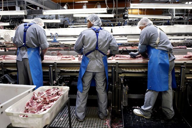 Denmark’s bacon exports damaging environment: Greenpeace