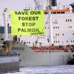 Activists board ship off Spain in palm oil protest: Greenpeace