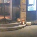 Watch: Rare sighting of raccoon in downtown Zurich