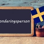 Swedish word of the day: sonderingsperson
