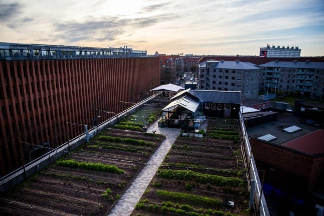 Denmark’s first rooftop farm faces closure