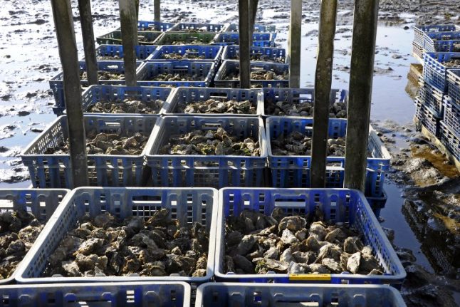 Fears in France there may not be enough oysters to satisfy festive appetites