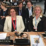 Sweden hails Katowice as ‘most important decision since Paris’