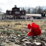 AfD banned ‘indefinitely’ from attending Holocaust memorial services