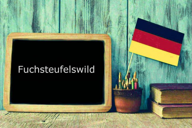 German word of the day: Fuchsteufelswild