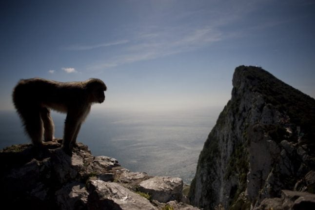 Gibraltar rejects joint sovereignty talk 'as dead as a dodo'