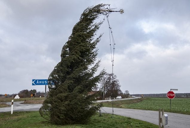 Thousands without power and traffic disrupted as 2019’s first storm hits Sweden