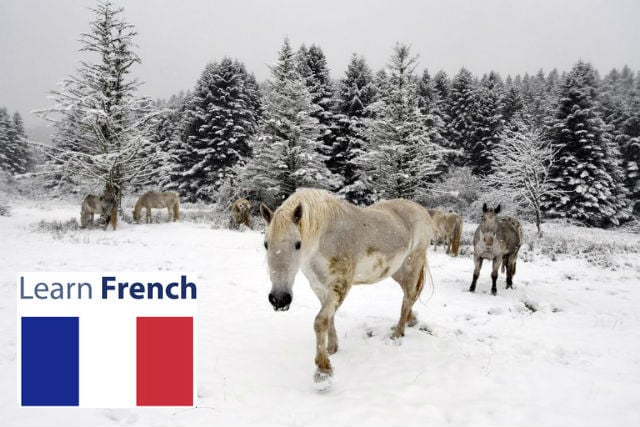 Swathes of France set to become winter wonderland with heavy snow forecast