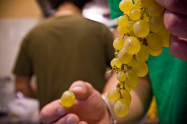 Spanish child chokes to death on New Year’s Eve grapes