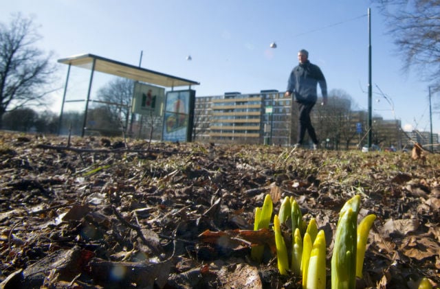 Malmö might not have a winter this year