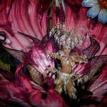 IN PICS: Carnival Queens compete for Santa Cruz crown