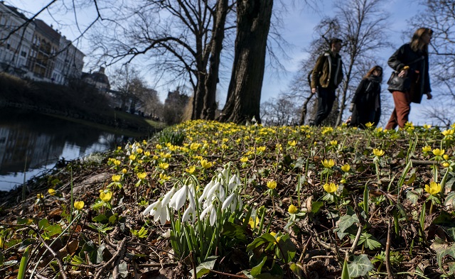 These Swedish towns just had their hottest ever February day