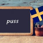 Swedish word of the day: puss