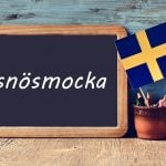 Swedish word of the day: snösmocka