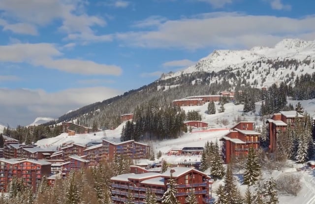 Hundreds evacuated after French Alps ski resort hit by 'arson'