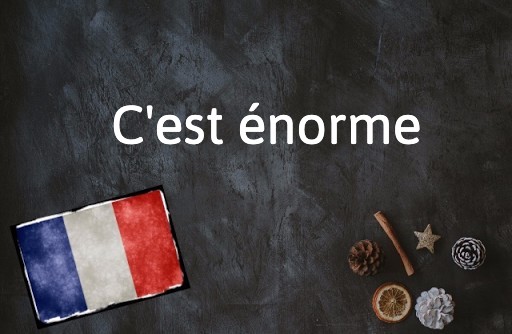 French Expression of the Day: C’est énorme