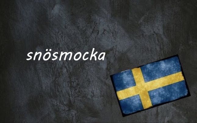 Swedish word of the day: snösmocka