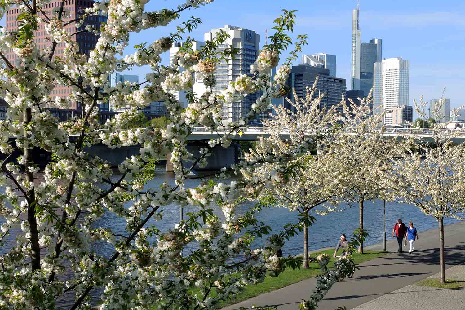 Spring in February? Weekend temperatures as high as 15°C to hit Germany