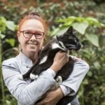 Cats imitate owners’ voices, Swedish researcher finds