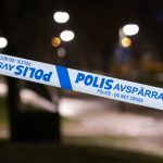 Criminal group behind 330 crimes in Sweden, investigation finds