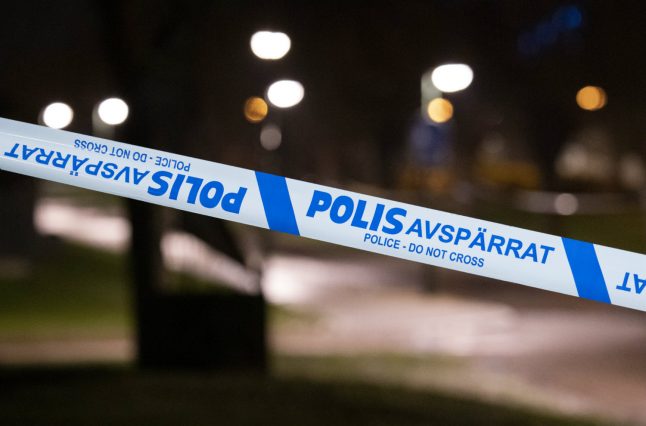 Criminal group behind 330 crimes in Sweden, investigation finds