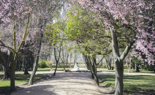 Seven glorious ways to celebrate spring in Spain