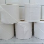 Bavarian town that accidentally ordered 12 years’ worth of toilet paper flushes last roll