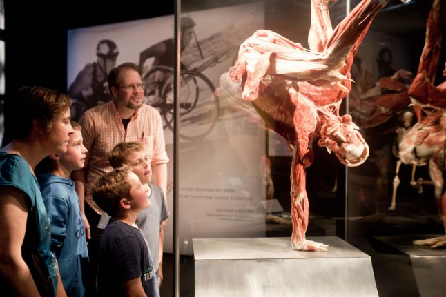 Life in corpses: Behind the scenes of 'Body Worlds' in Ulm