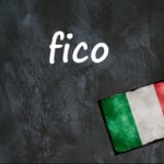 Italian word of the day: ‘Fico’