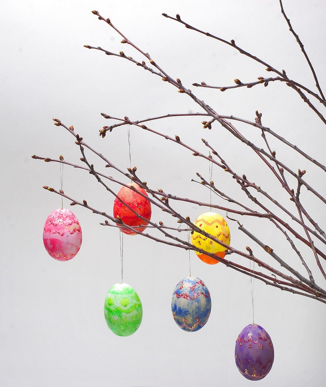 Easter eggs hanging from a branch.
