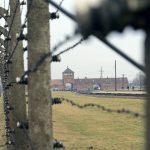 ‘I weighed 32 kilos’: Auschwitz survivors remember a living hell