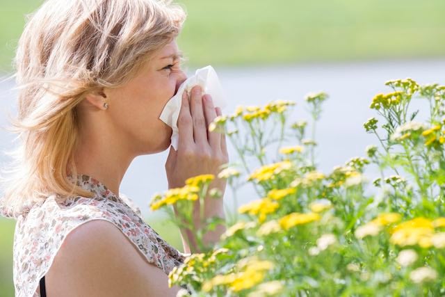 QUIZ: What’s causing your allergies in Sweden?