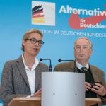 AfD support falls to lowest level in a year, poll finds