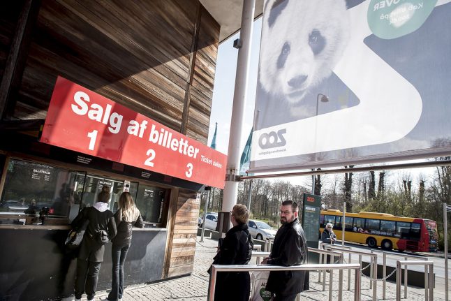 Chinese pandas arrive in Denmark to mixed response