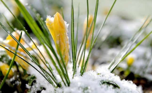 What happened to spring? Snow, sleet and icy roads this weekend in Denmark