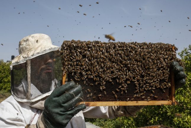 How one French apple farmer became a beekeeper to keep his business alive
