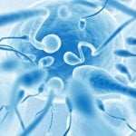 Semen quality of young Swiss men ‘in critical state’