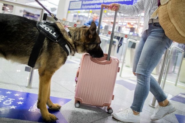 Customs dog sniffs out €1.2 million in cash at Düsseldorf Airport