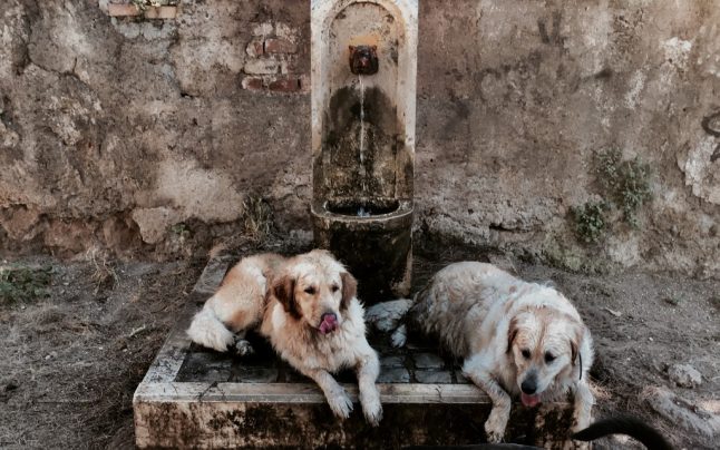 IN PICTURES: How Italy is coping with the heatwave