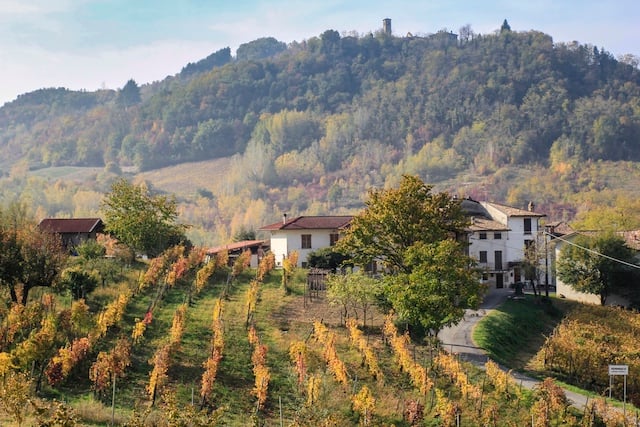Agriturismo: Italian region declares only local wines can be served to tourists