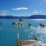 Greenland changes increase fears of another devastating year for Arctic