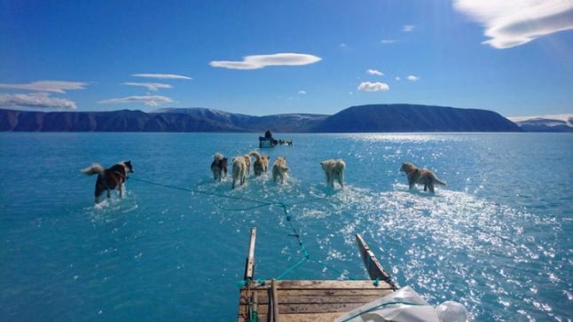 Greenland changes increase fears of another devastating year for Arctic