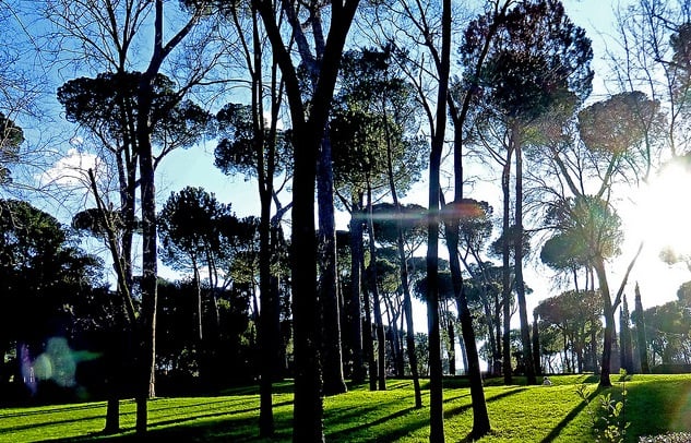 Rome begins €12 million makeover of the city's parks and gardens