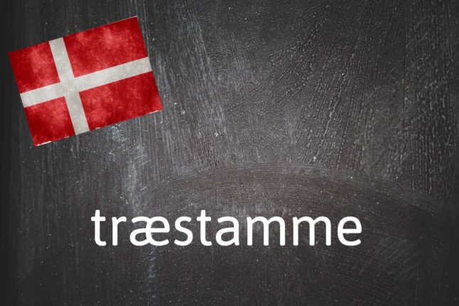 Danish Word of the Day: Træstamme
