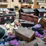 ‘Disgusting dumpsters’: Rome garbage crisis sparks health fears