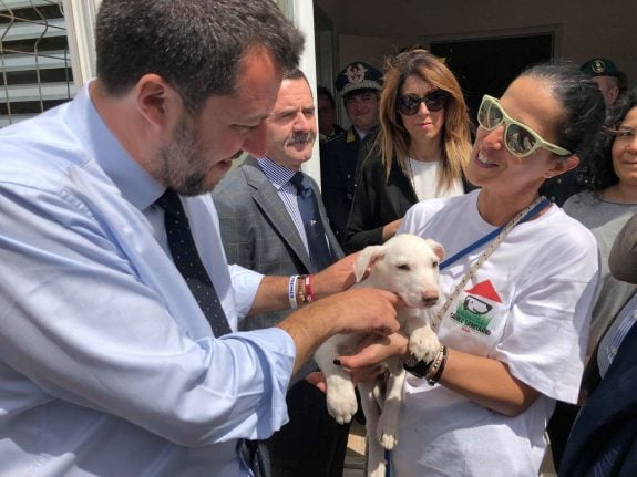 Italy's Salvini and Berlusconi bet on pets to woo voters