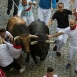 Pamplona: Famed bull run fiesta ends with 8 people gored (one while trying to take a selfie)