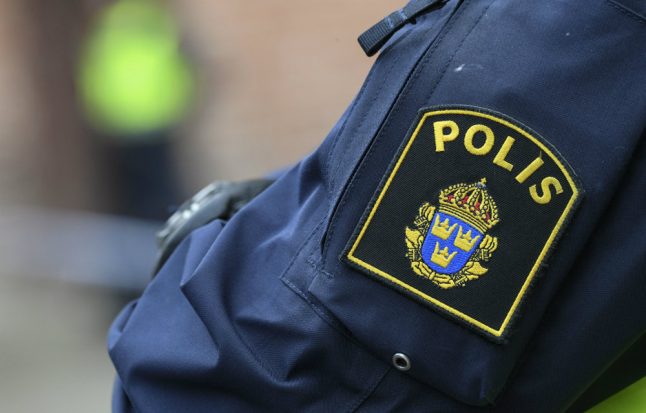Swedish police fire warning shot at 'menacing' man