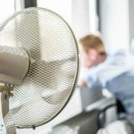 ‘Employees have a right to work from home’: Calls for German heatwave action plan