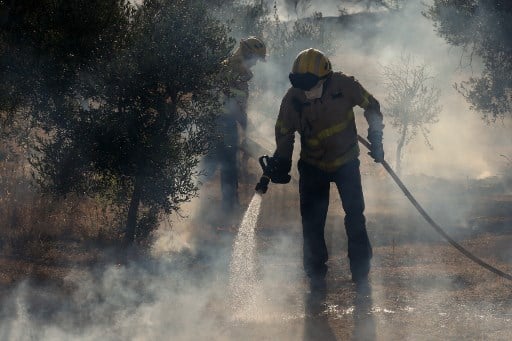IN PICS: Wildfires devastate 10,000 hectares of forest across Spain in heatwave